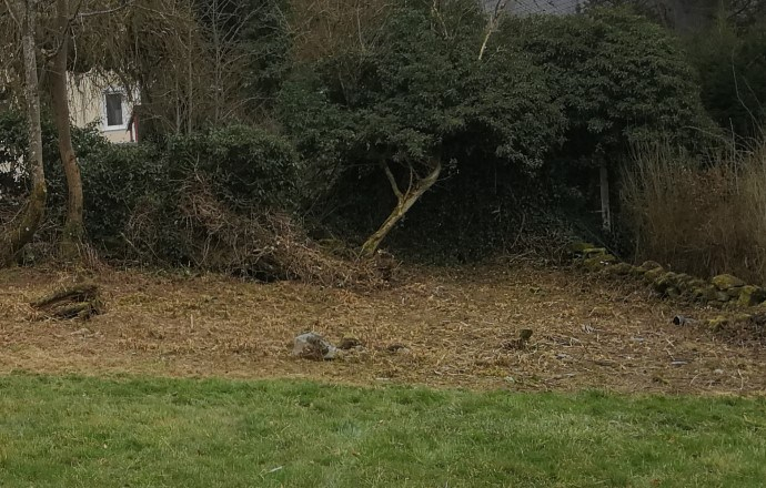 Wildwuchs ist entfernt