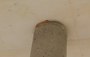 Betonpfeiler Terrasse brösel 2