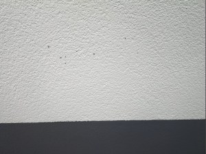 Verschmutzung Außenputz